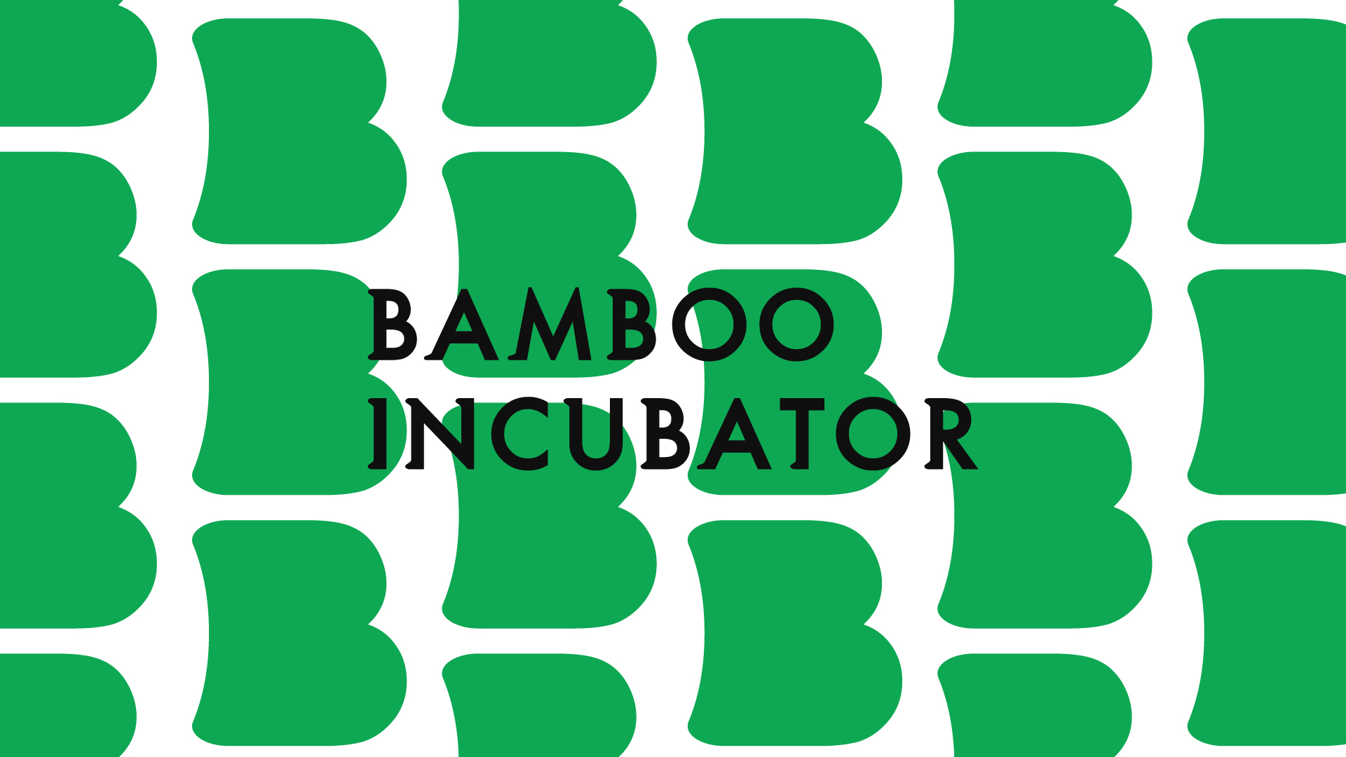 BAMBOO INCUBATOR